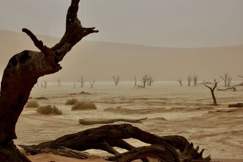 SOSSUSVLEI by Richard Eite