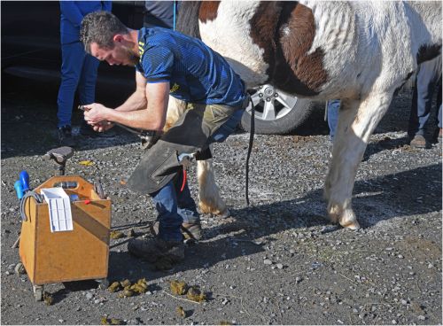 MOBILE HORSE REPAIR by Brain Davis