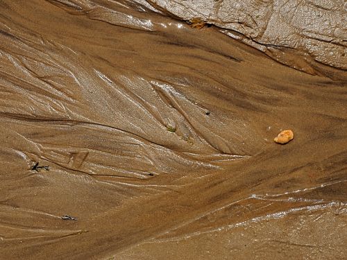 BEACH PATTERN by Brian Davis