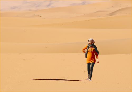 DESERT WALKER by Shirley Davis