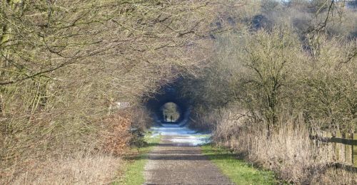 INTO THE TUNNEL by David Watson