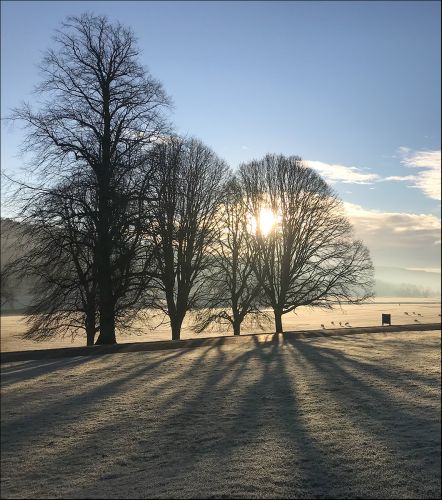 WINTER SUN SHADOWS by Martin Mosley