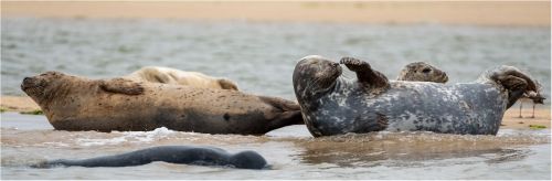 STRIKE A POSE by Martin Mosley