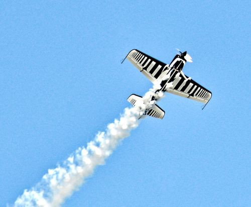 THE FLYING KEYBOARD by Shirley Davis