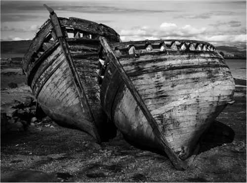 BEACHED by Martin Mosley