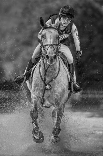 HORSE POWER by Simon Beynon
