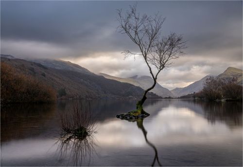 LLYN PERIS by Mike Cantrell