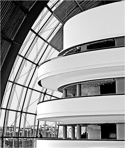 STUDY IN CURVES by Shirley Davis