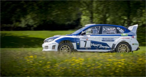 POWER AND POLLEN by Alan Thorne