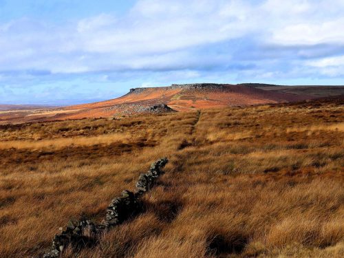 STONY RIDGE by Janice Kennaway
