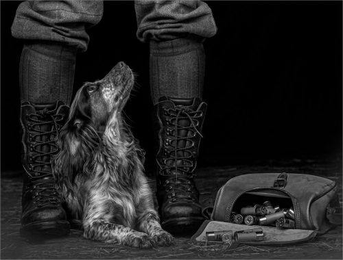 WORKING DOG READY by Marj Freeston