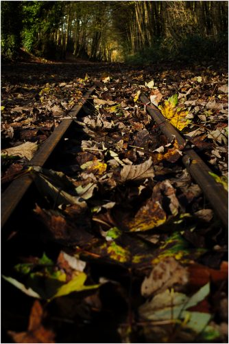 A-BEECHING-LINE-by-David-Ward