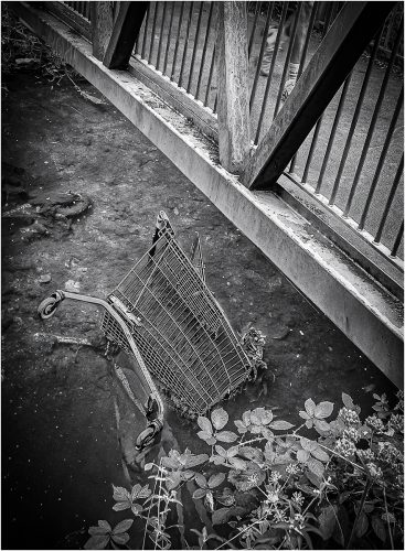 DITCHED-IN-PLAIN-SIGHT-by-Michael-Hardwick