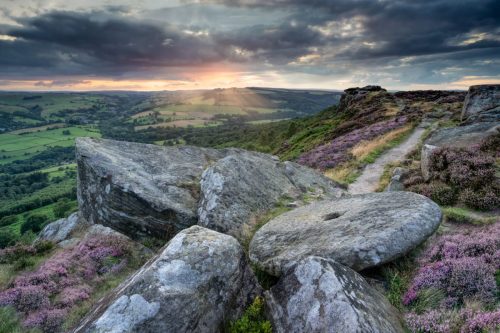 LEFT-IN-THE-LANDSCAPE-by-Simon-Beynon