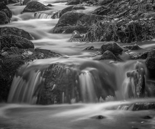 FLOW-by-Will-Nightingale