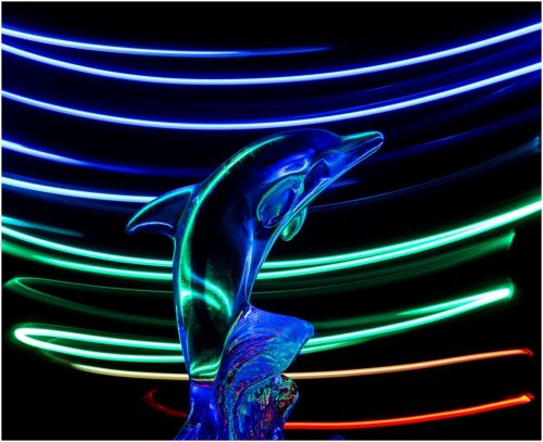 LIGHT-PAINTING-WITH-DOLPHIN-by-Chris-Briddon
