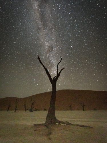 WHEN-THE-STARS-COME-OUT-TO-PLAY-by-Beverley-Wood