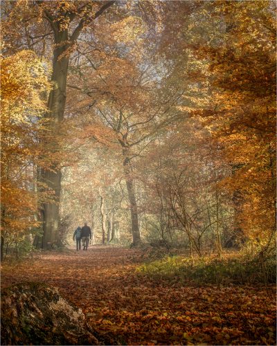 LADY-SPENCERS-WALK-by-Michael-Hardwick