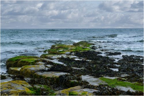 NORTHUMBERLAND-ROCKS-by-Chris-Briddon