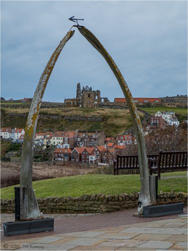 WHITBY ABBEY by Tim Ramsay